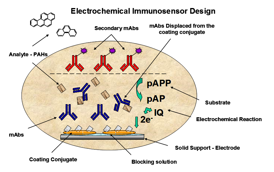 Example of immunosensor design for detection of PAHs and associated electrochemical reaction